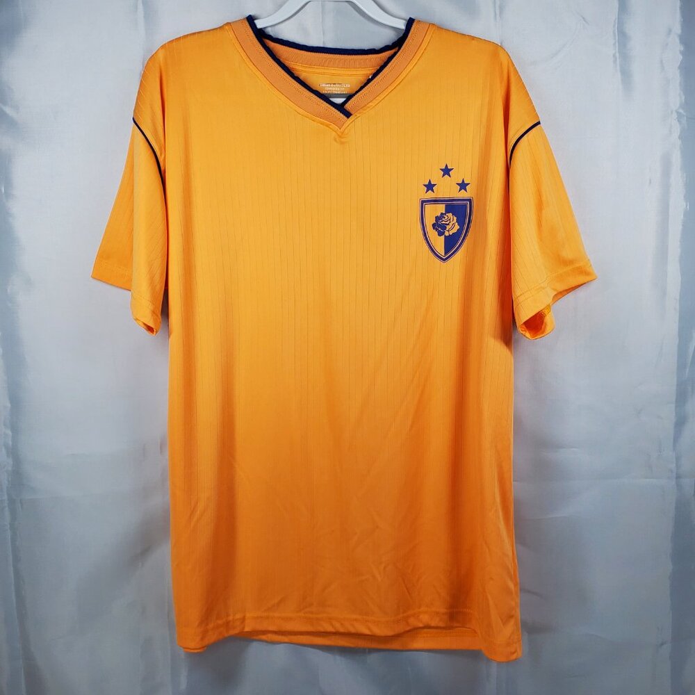 Urban Outfitter Pullover V-Neck Shirt Stars and Crest Graphic Orange Men Sz L
